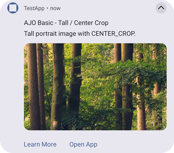 Basic template with a portrait image using center_crop