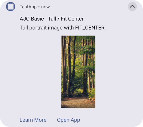Basic template with a portrait image using fit_center