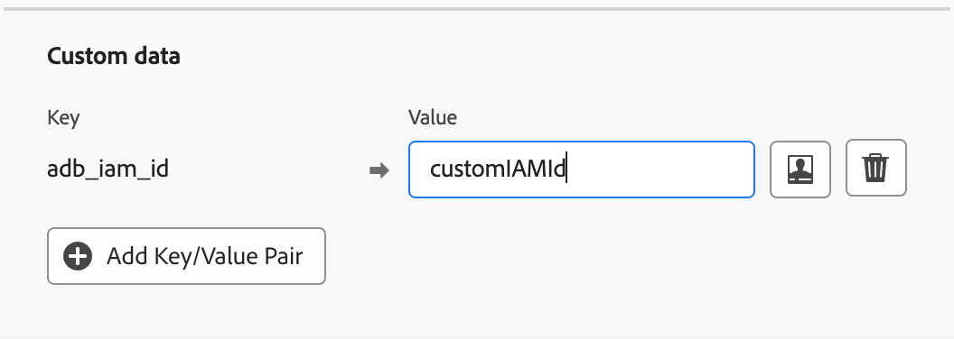 Push campaign custom data for Push-to-inapp