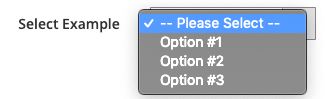 Select Component Options Example
