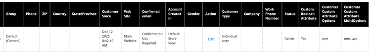 Custom attribute in the customer grid