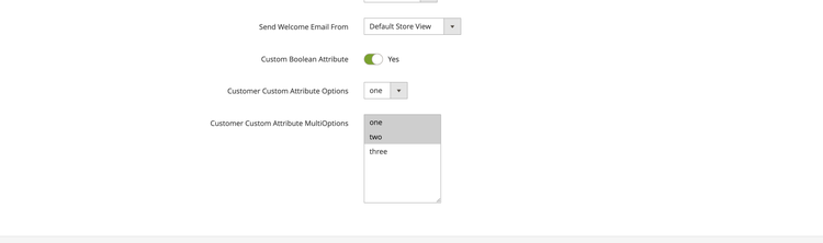 Custom attribute in the customer form