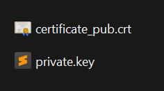 Private and Public Keys