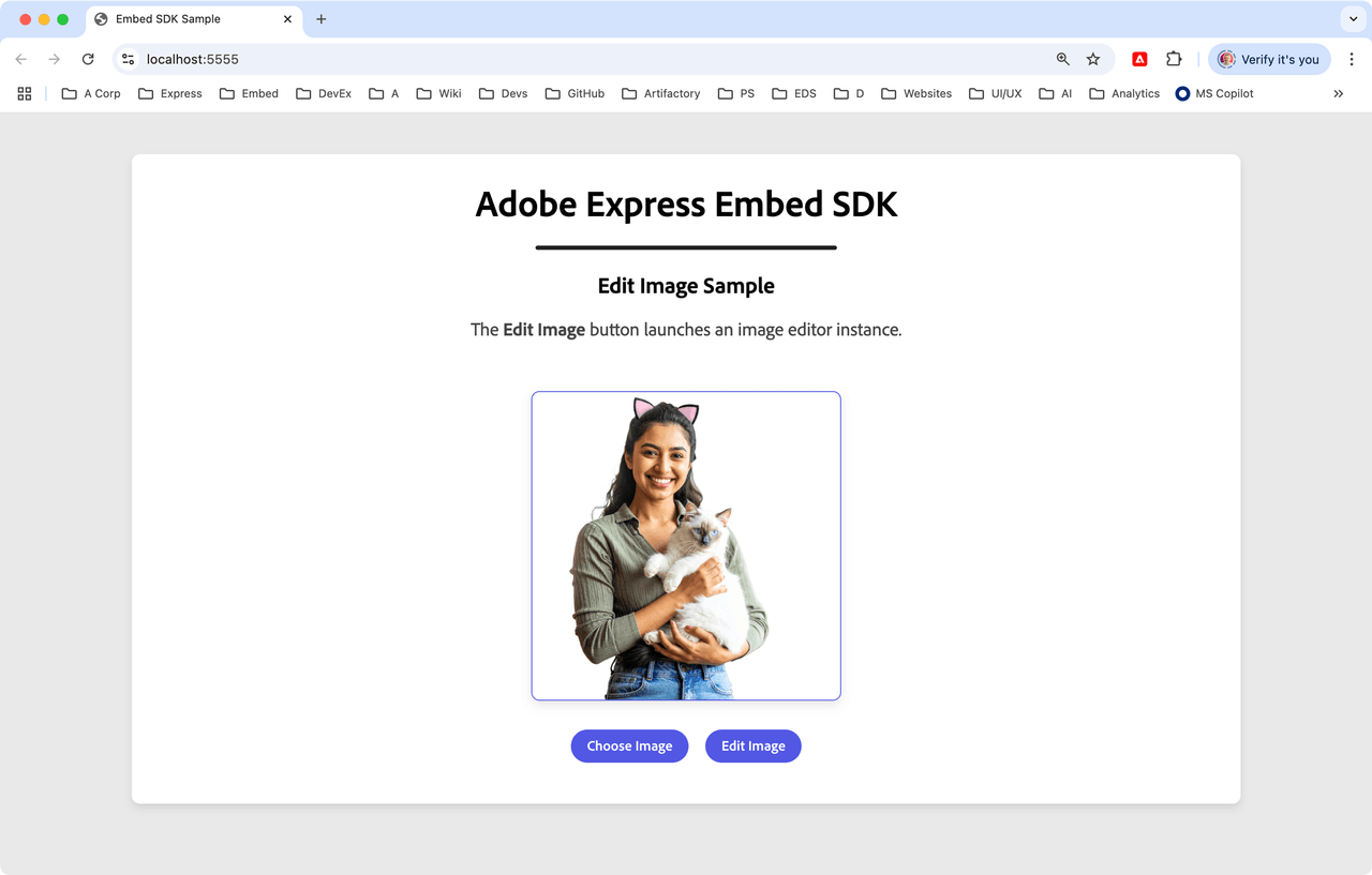Embed SDK Edit Image edited image
