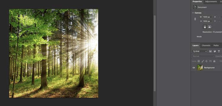 Before adding linked smart object