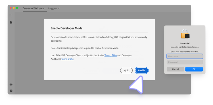 Enable Developer Mode