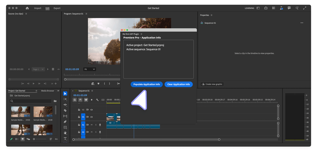 Premiere - Populate Application Info