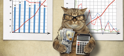 Stock Cat Image from Tech Blog Article
